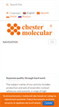 Mobile Screenshot of chester.com.pl
